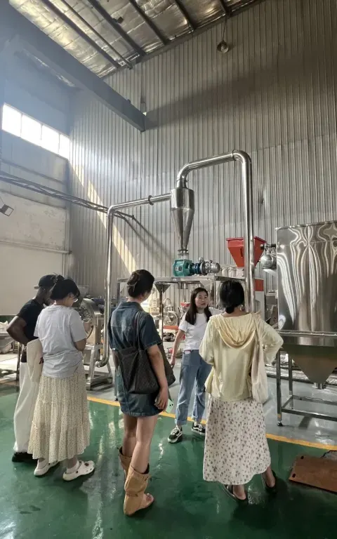 Black pepper grinding and mixing line