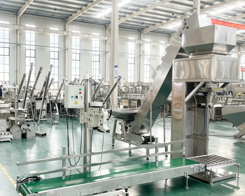 Bag packaging and filling line with elevator conveyor in the workshop